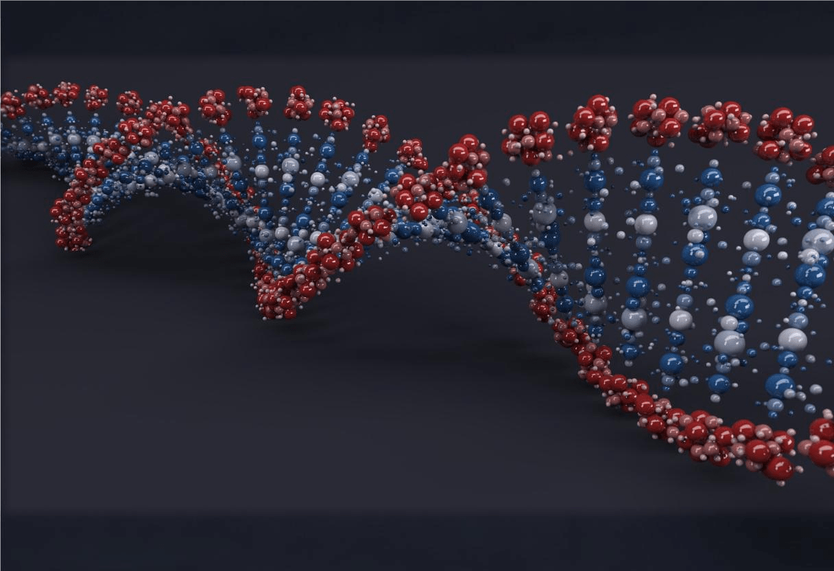 DNA fragmentation guide