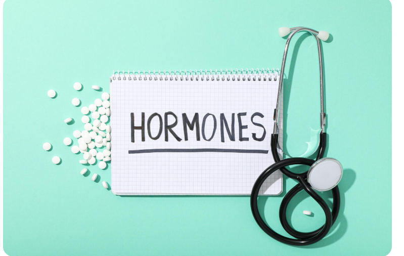 Perimenopause Nutrition and Lifestyle Care in Chennai
