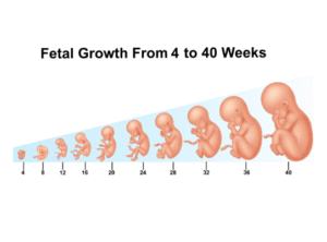 Pregnancy Care Tips for Indian Mothers: A Complete Guide