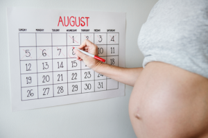 first trimester pregnancy