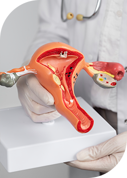 Gynaecology