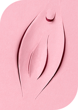 cosmetic gynecology